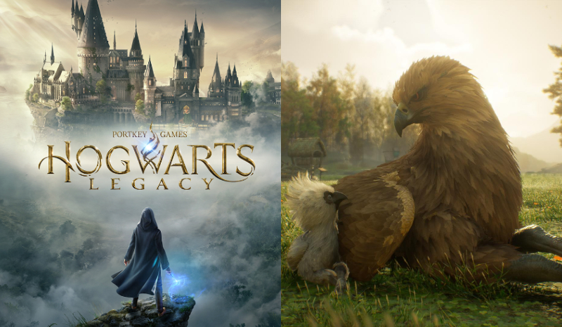 Hogwarts Legacy: Lokasi dan Cara dapat Hippogriff Feather