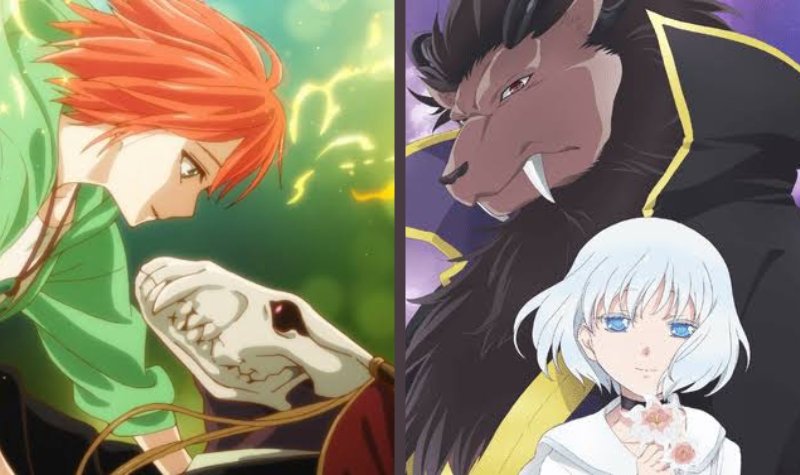 Review Anime The Ancient Magus’ Bride dan Niehime to Kemono