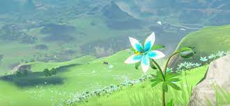 Lokasi Farming Silent Princess di Breath of The Wild