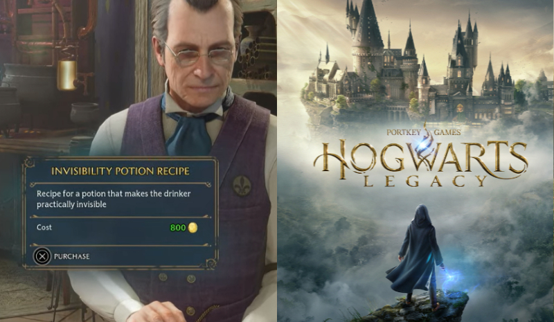 Hogwarts Legacy: Resep & Cara dapatkan Invisibility Potion