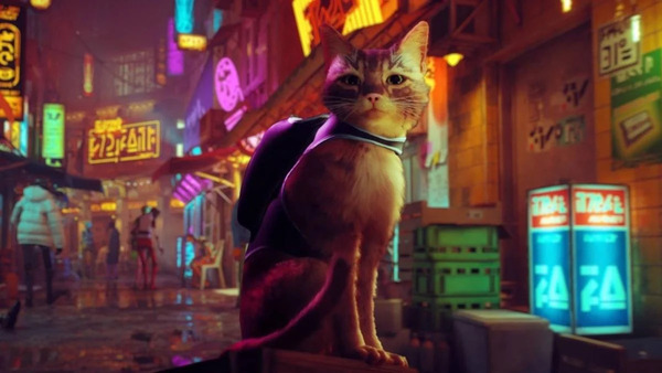 stray game