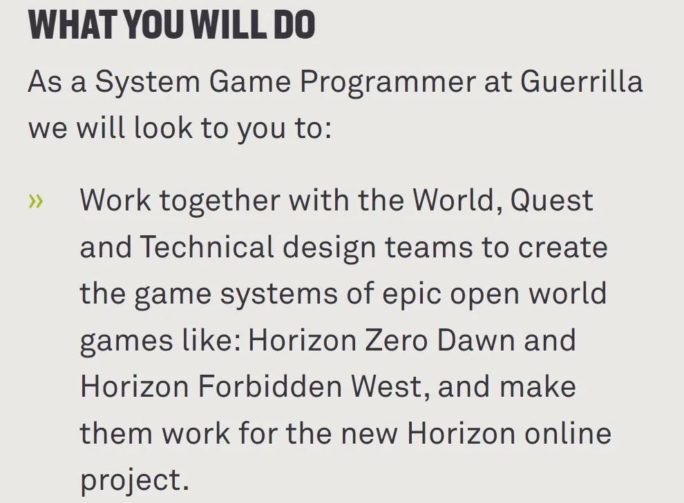 Horizon multiplayer system game programmer job