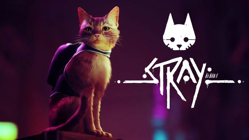 Video Game Kucing Stray Akan Diadaptasi Jadi Film Animasi