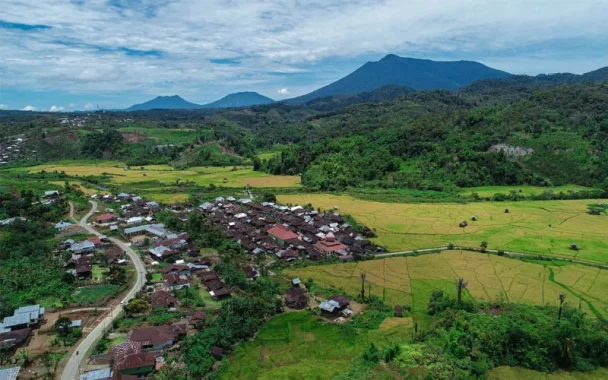 Memfasilitasi Daerah