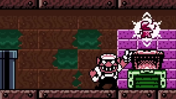 Wario Land 3