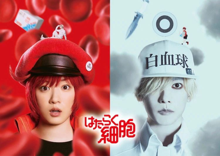 Cells at Work Anime 2024