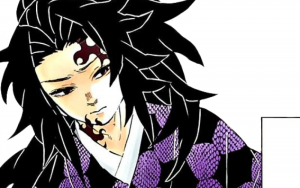 Michikatsu Tsugikuni Demon Slayer