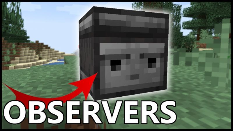 Pengertian Observer di Minecraft dan Cara Membuatnya